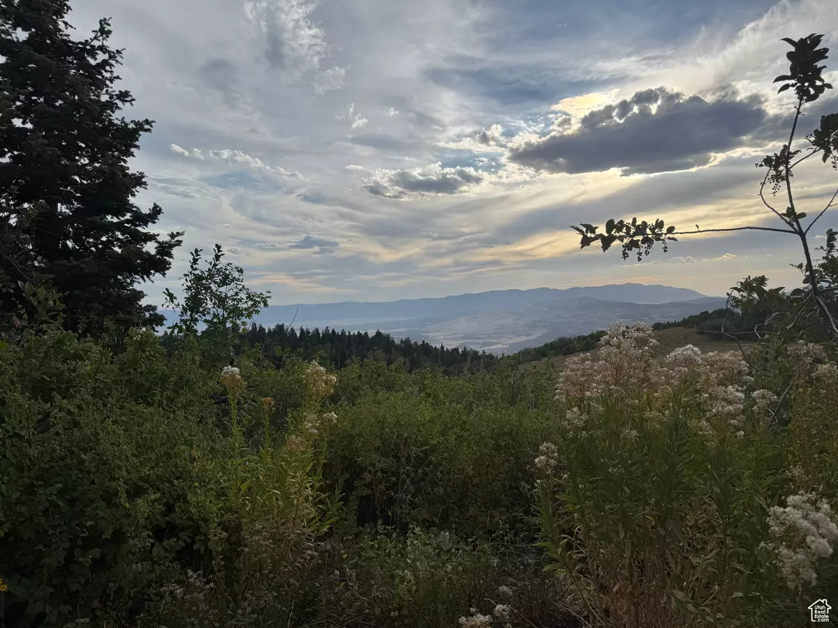 Fairview, UT 84629,32 J CHOKECHERRY DR #J-32