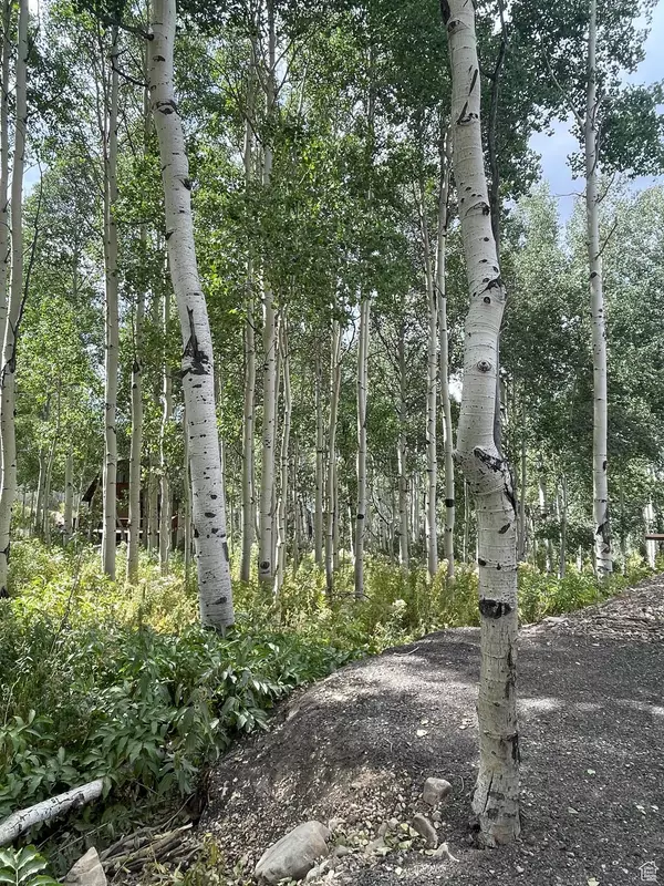 Heber City, UT 84032,11485 VIOLET WAY #1845