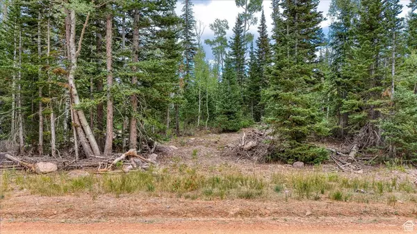 384 N 275 E #61, Brian Head, UT 84719