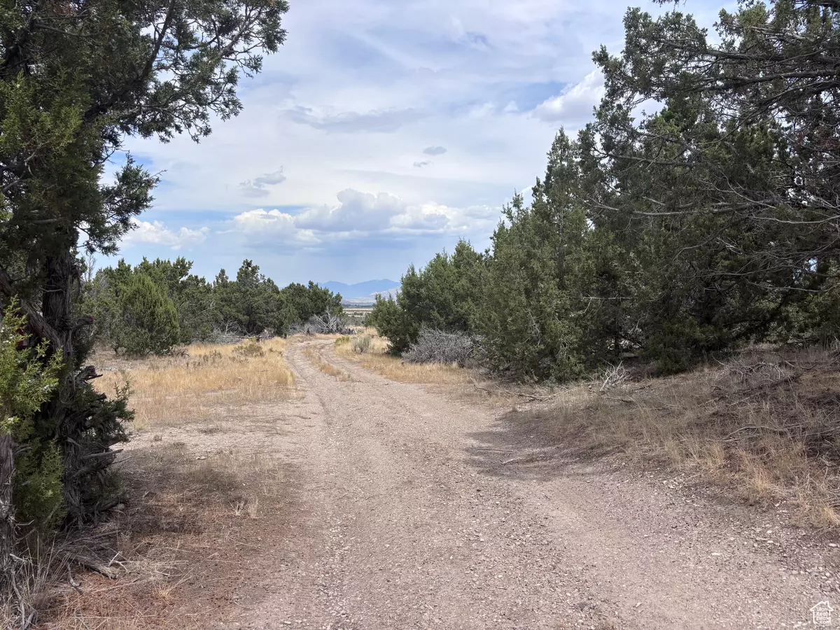 Rush Valley, UT 84069