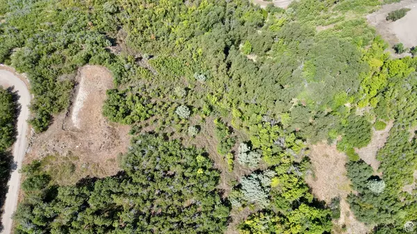 Fairview, UT 84629,23203 N 14133 E #4