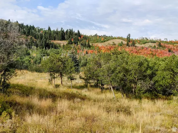 Heber City, UT 84032,2514 S TIMBER LAKES DR #1058