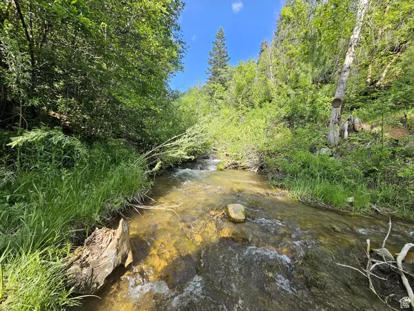 Fairview, UT 84629,26 BIRCH CREEK DR #D26