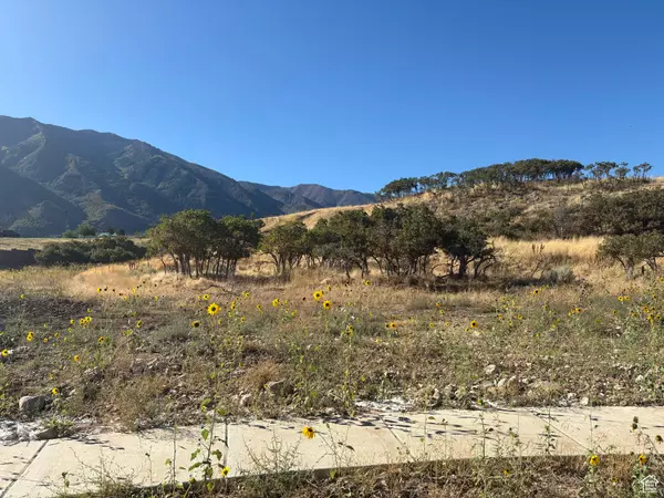 1605 S 920 E #67, Salem, UT 84653