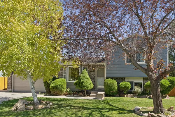 Address Not Disclosed