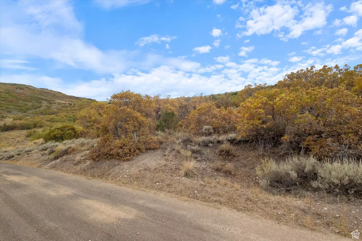 Heber City, UT 84032,2381 WESTVIEW DR #1351