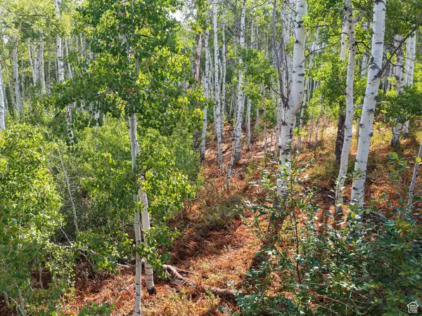 Heber City, UT 84032,2919 GREEN BRIAR WAY #543