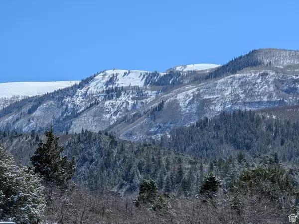 Fairview, UT 84629,13355 E BIRCH CREEK DR N #D68