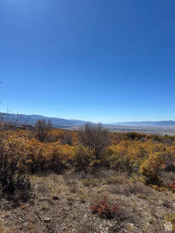 Fairview, UT 84629,22949 N 13755 E #93