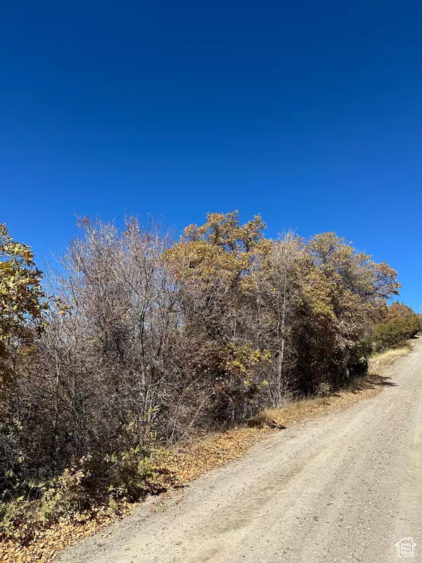 Fairview, UT 84629,22949 N 13755 E #93