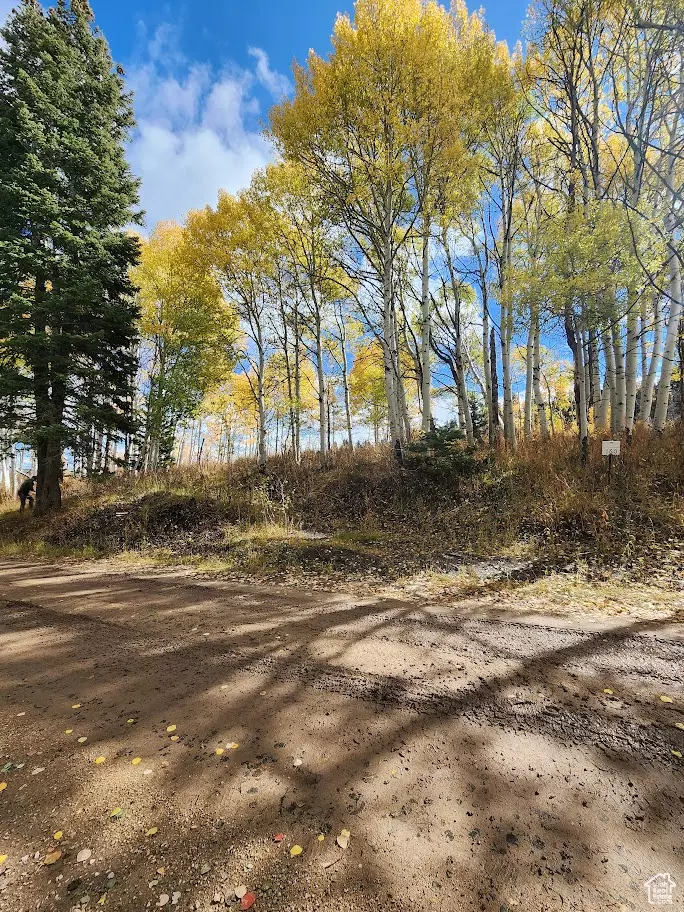 Coalville, UT 84017,771 PORCUPINE LOOP