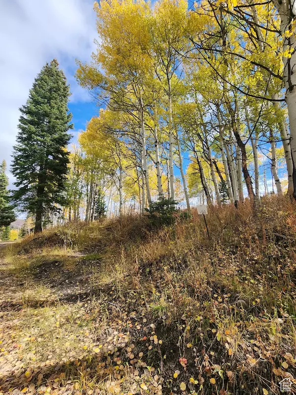 Coalville, UT 84017,771 PORCUPINE LOOP