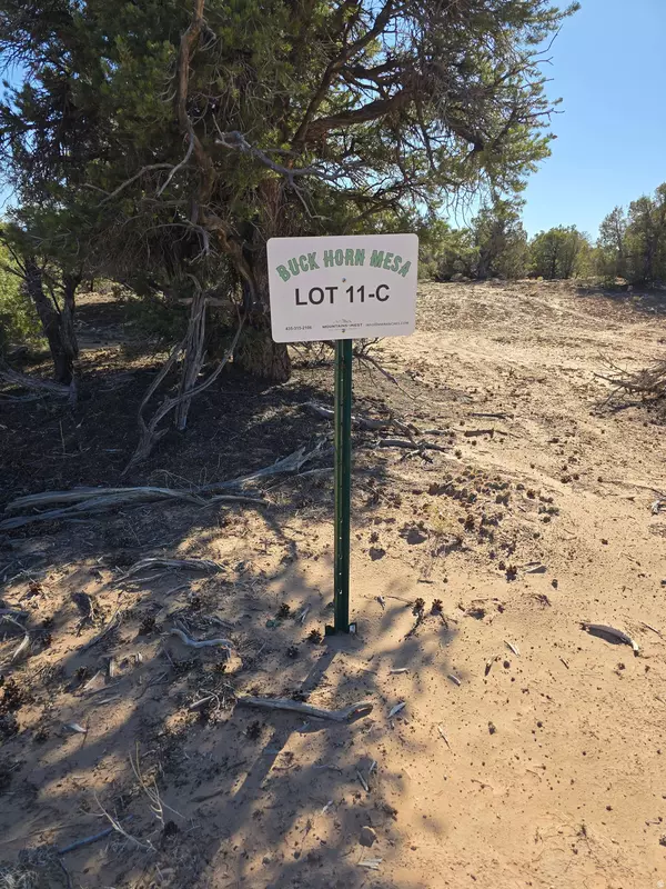 Duchesne, UT 84021,#11-C