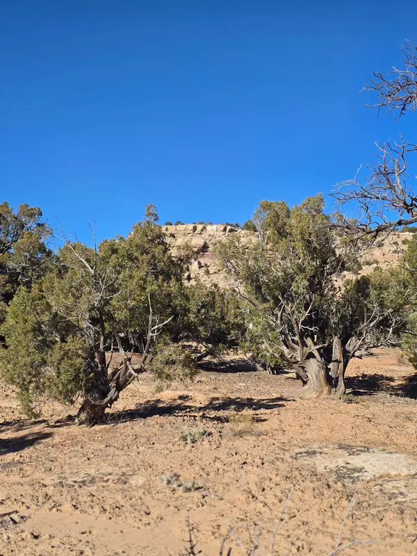 Duchesne, UT 84021,#11-C