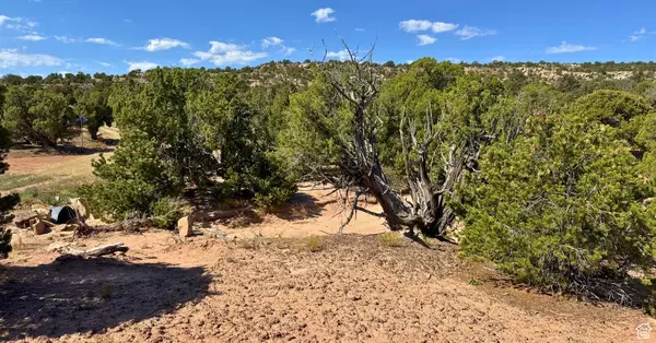 Duchesne, UT 84021,#1