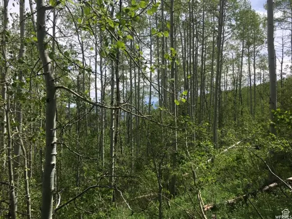 Coalville, UT 84017,2183 ASPEN DR #G-54