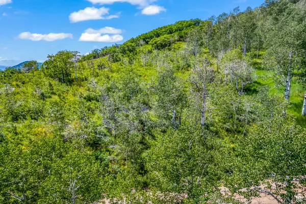 Oakley, UT 84055,11708 CANYON RIM RD #194