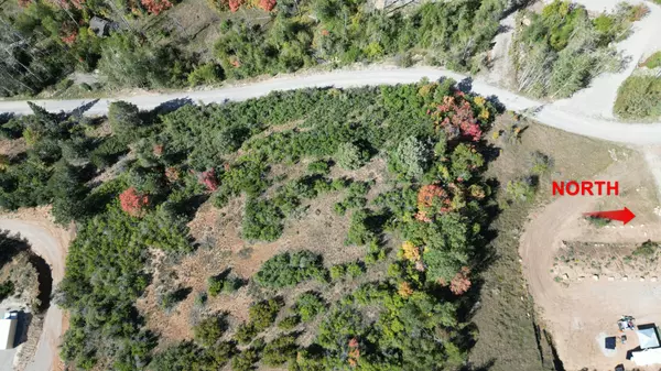 Mt Pleasant, UT 84647,337 NORTH FORK RD RD #337