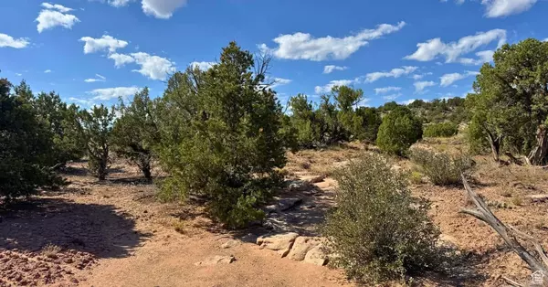 Duchesne, UT 84021,#7