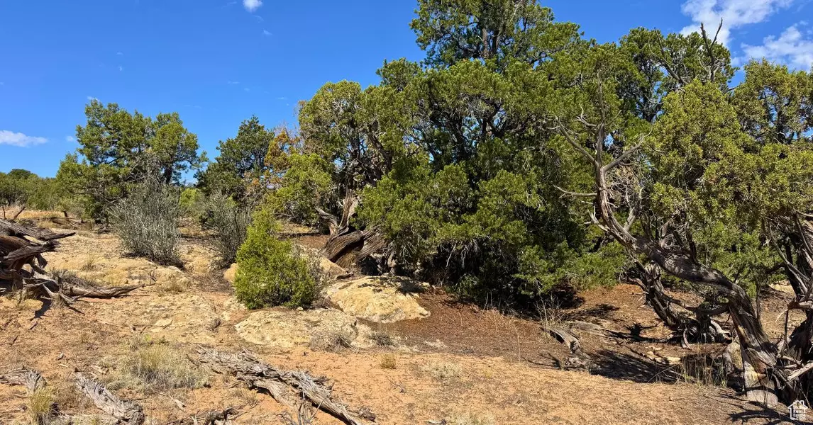 #2, Duchesne, UT 84021