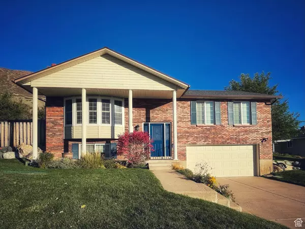 Address Not Disclosed