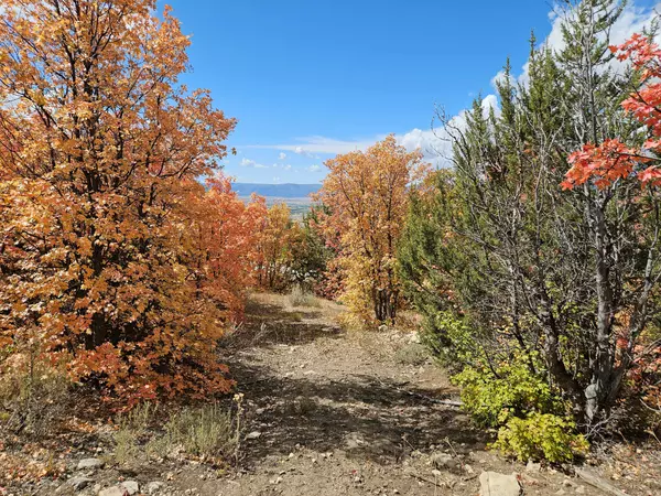 Fairview, UT 84629,16 E LAKE FORK DR S #16