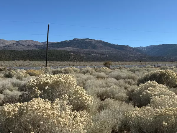 Mt Pleasant, UT 84647,1 PINE CREEK RD #4