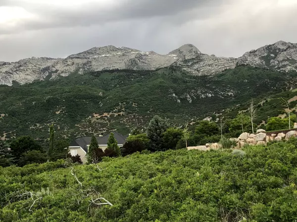 Alpine, UT 84004,1653 ROSANNA CIR