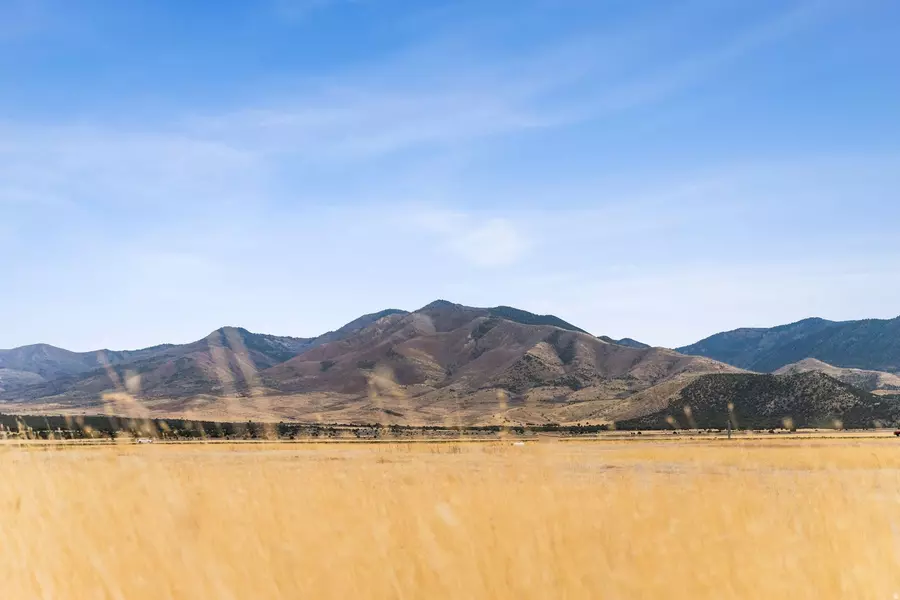 1565 W SUNFLOWER LN #3, Fillmore, UT 84631