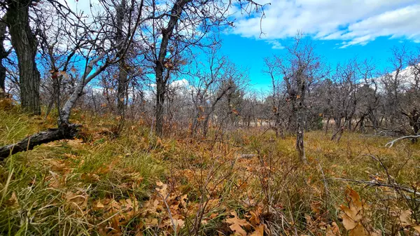 138 PHASE 3 SECTION A #138, Mt Pleasant, UT 84647