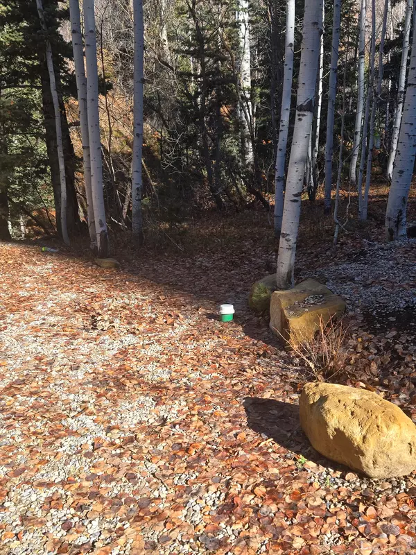 Fairview, UT 84629,827 E NORTH FORK RD #827