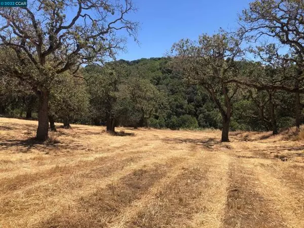 Martinez, CA 94553,5433 Alhambra Valley Rd