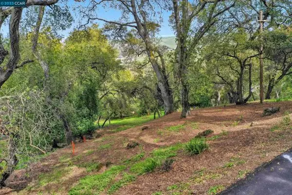 Pleasanton, CA 94566,103 CASTLEWOOD