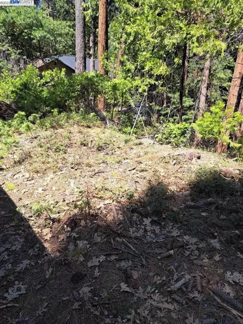 Pollock Pines, CA 95726