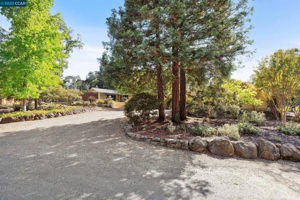 480 Muller Rd., Walnut Creek, CA 94598