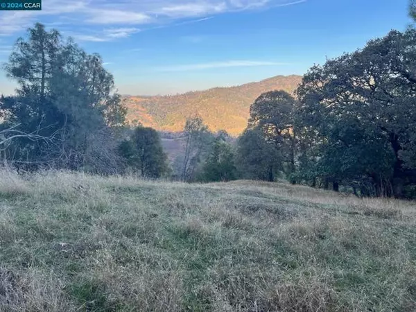 Napa, CA 94558,197 Country Club Lane