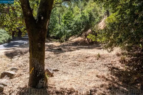 12063 Glenora Way, Sunol, CA