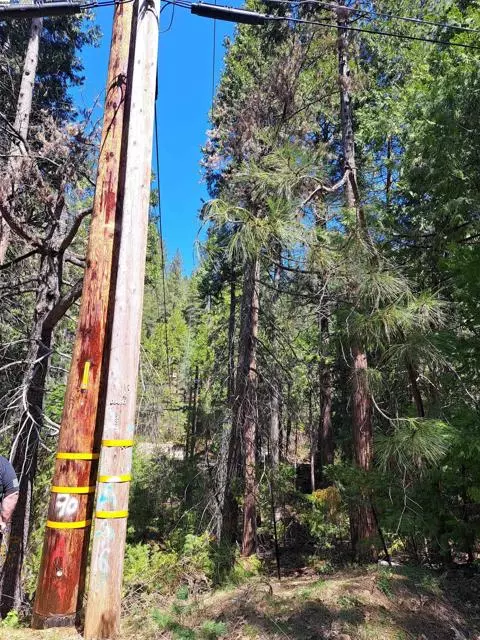 Pollock Pines, CA 95726,Sly Park