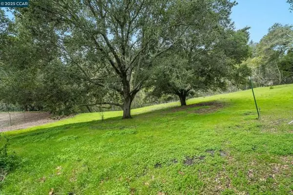 Orinda, CA 94563,9 Charles Hill Rd