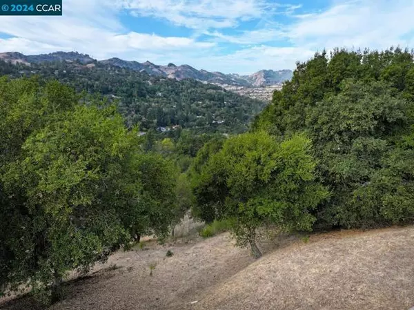 Orinda, CA 94563,46 Cedar Terrace