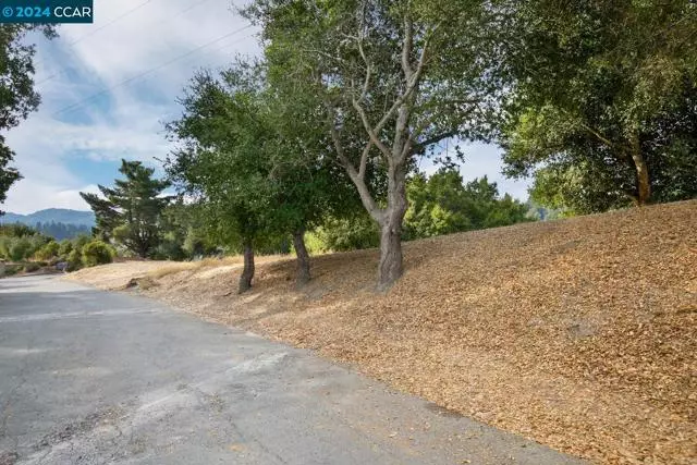 Orinda, CA 94563,46 Cedar Terrace