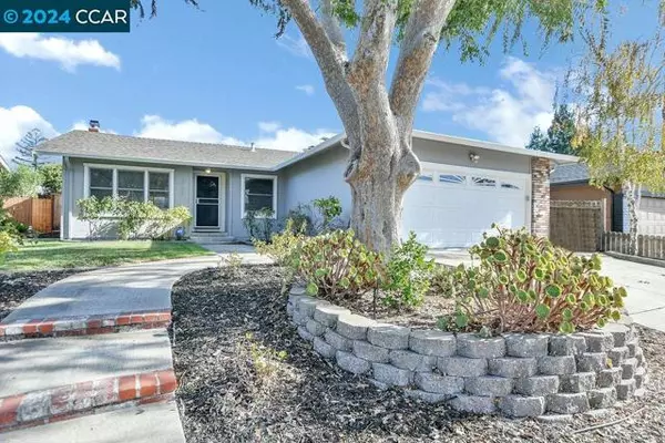 Martinez, CA 94553,317 Lava Court