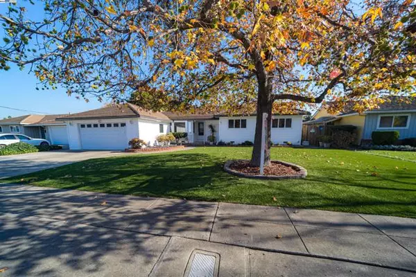 Fremont, CA 94536,5232 Paxton Ct