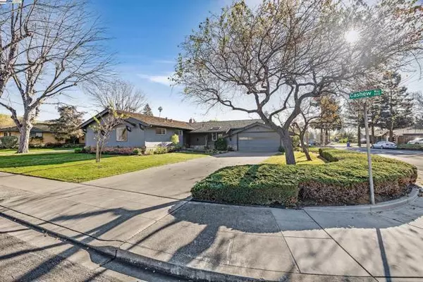 968 Cashew Way, Fremont, CA 94536