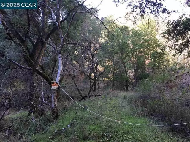 Alamo, CA 94507,Lark Ln