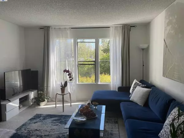 Pleasant Hill, CA 94523,395 Camelback Rd