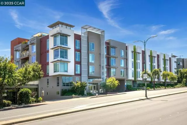Walnut Creek, CA 94596,555 Ygnacio Valley Rd