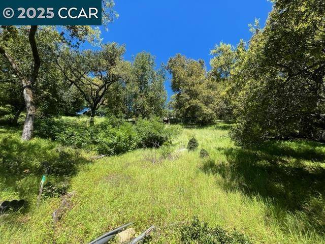 Orinda, CA 94563,2 Charles Hill Cir