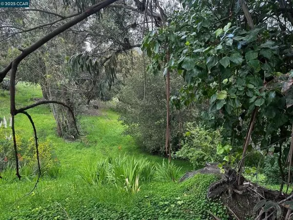 Oakland, CA 94605,10838 Monan St