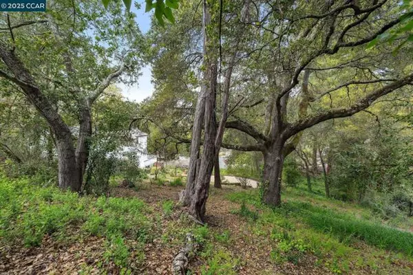 Orinda, CA 94563,4 El Sereno